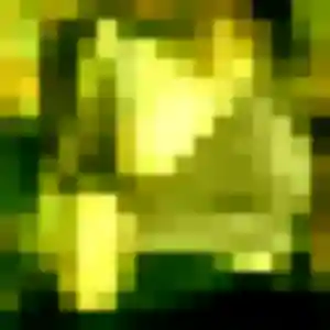 Photo perso de Ruth, 28 ans à Champigny - rencontre sans lendemain