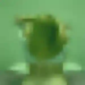 Profil de Joséphine à Champlan (29 ans) - plan cul sans inscription