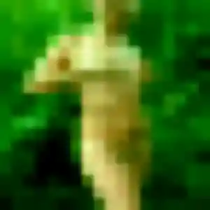 Découvre Daphné, 32 ans à Champniers en privé