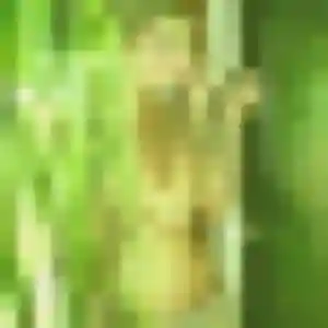 Photo de Oumou à Chandai (29 ans) - plan cul anonyme