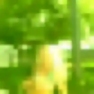 Photo exclusive de Chioma, 33 ans à Changy - plan discret