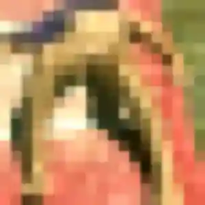 Mame, fille de 40 ans cherche plan cul à Charbuy