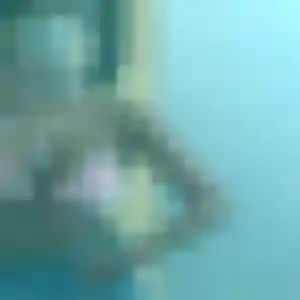 Découvre Honorine, 44 ans à Charnècles en privé