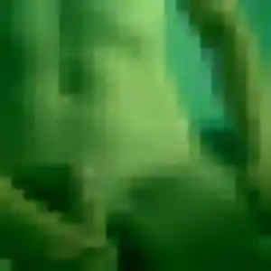 Photo perso de Noémie, 35 ans à Charnècles - plan discret