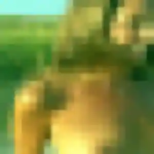 plan cul à Charrin : profil de Antoinette, 38 ans - sans engagement