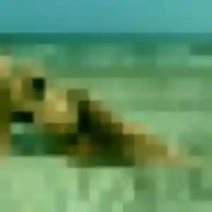 Roxane, femme de 39 ans cherche plan cul à Charron