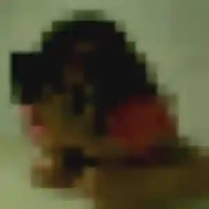 Photo exclusive de Shade, 23 ans à Château-Chervix - rencontre sans lendemain