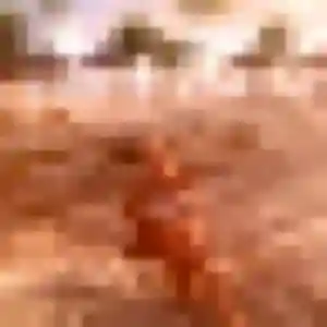 Jolie Abigail, 38 ans à Château-Larcher - la contacter