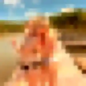 plan cul à Châteaubernard : photo de Valentine, 38 ans - inscription gratuite