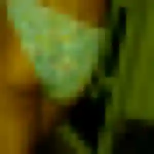 plan cul à Châteaubernard : photo de Zineb, 26 ans - sans engagement