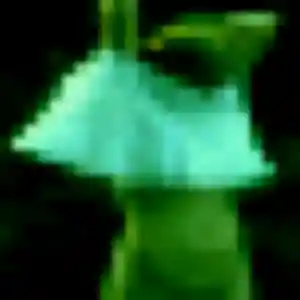 Stella, 30 ans, veut un plan cul à Châteauneuf-du-Faou