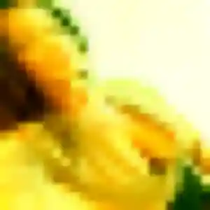 Ketty, 38 ans, en ligne à Châteauneuf-sur-Charente pour une rencontre coquine