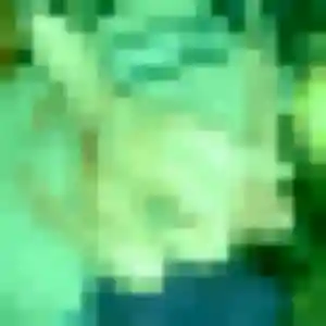 Funke de Châteldon, 31 ans - plan cul discret