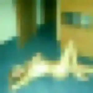Photo de Nicole à Châtenay-Malabry (22 ans) - plan cul anonyme
