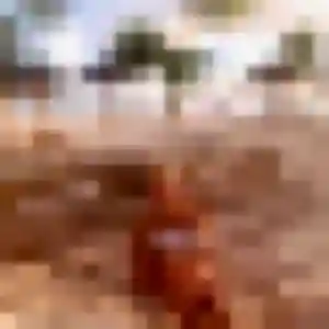 Zaïna, 32 ans, disponible à Châtillon-sur-Cher pour une rencontre coquine