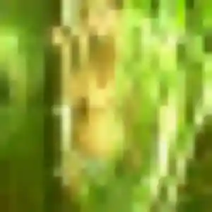 Oumou, femme de 23 ans cherche plan cul à Chaudenay