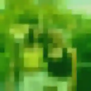 Photo privée de Tabitha, 32 ans à Chauffailles - rencontre sans lendemain