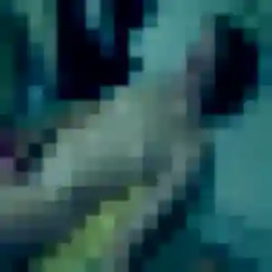 Belle Astou, 35 ans à Cheillé - découvrir son profil