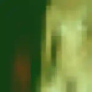 Photo privée de Ludivine, 35 ans à Chemillé-en-Anjou - rencontre coquine