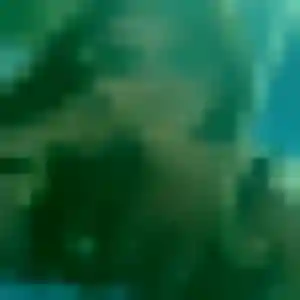 Photo de Jessica à Cheminon (39 ans) - plan cul gratuit