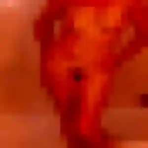 Capucine, 23 ans, disponible à Chéreng pour une rencontre coquine