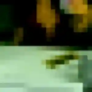 Precious (30 ans) à Chéreng attend un plan cul maintenant