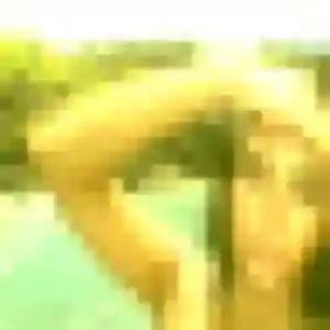 Profil de Sandrine à Cherveux (27 ans) - plan cul gratuit