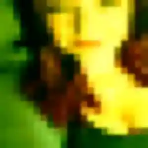 Profil de Grâce à Chézy-sur-Marne (25 ans) - plan cul discret