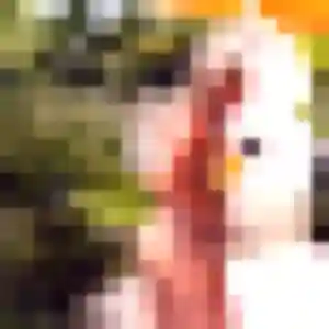 Binta, 37 ans, dispo pour plan cul à Chiché