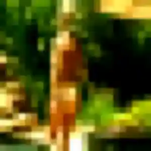 Photo sexy de Tabitha, 33 ans à Choisy - rencontre coquine