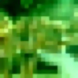 Sexy Codou, 41 ans à Chuelles - découvrir son profil