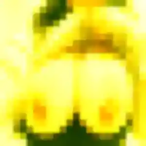 Michèle, 41 ans, veut un plan cul à Ciel