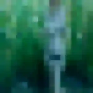 Stacy, fille de 29 ans cherche plan cul à Cinq-Mars-la-Pile