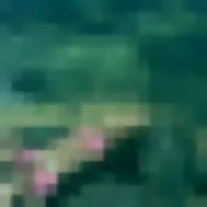 Sandy (38 ans) à Citry attend une rencontre rapidement