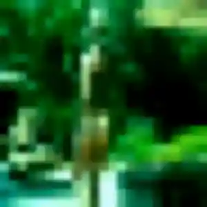 Photo privée de Tabitha, 23 ans à Clessé - plan discret