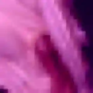 Njeri de Cognac, 31 ans - plan cul sans lendemain