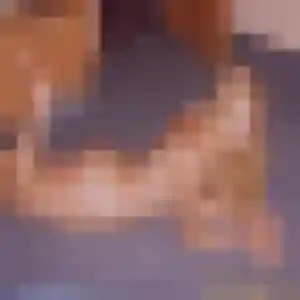 Contacte Rébecca, 33 ans à Coly-Saint-Amand gratuitement