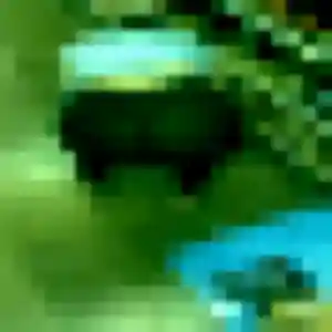 Dalila (35 ans) à Comblessac cherche une rencontre maintenant