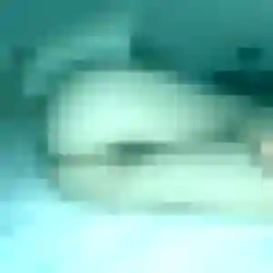 plan cul à Combon : profil de Leïla, 45 ans - inscription gratuite