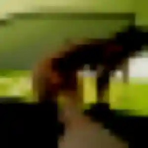Assétou, 33 ans, connectée à Commelle-Vernay pour une rencontre coquine