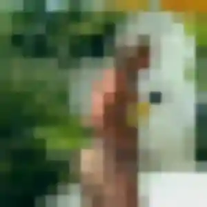 Ludivine, 27 ans, dispo pour plan cul à Commercy