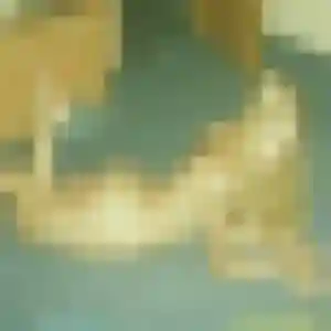 Aïcha, 28 ans, connectée à Condat-sur-Vienne pour une rencontre coquine