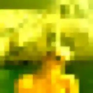 Découvre Sixtine, 37 ans à Contrisson en t'inscrivant