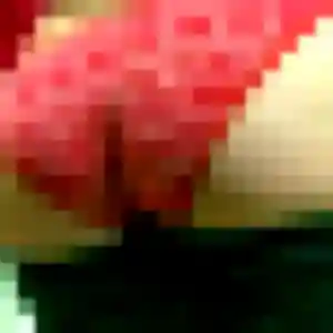 Profil de Aurore à Coquelles (41 ans) - plan cul gratuit