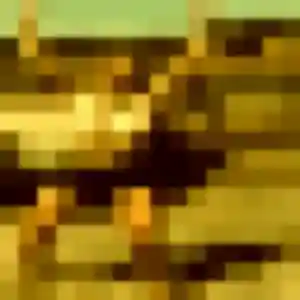 Ama, 27 ans, dispo pour plan cul à Cordelle