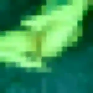 Saffie, 23 ans, cherche un plan cul à Cornier