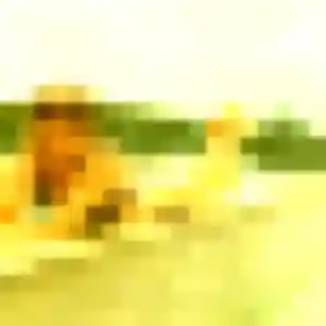 Sékou, 25 ans, cherche un plan cul à Cornil