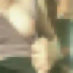 Profil de Capucine à Coteaux-du-Blanzacais (28 ans) - plan cul discret