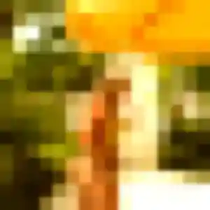 Photo exclusive de Chancelle, 27 ans à Cotignac - plan discret