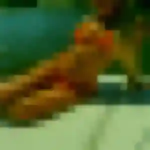 Photo perso de Roxane, 45 ans à Couchey - plan discret